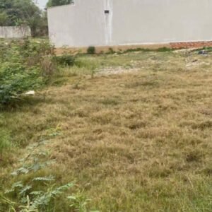 Đất thổ cư ấp 5 đức hòa đông – diện tích gọn, giá dễ tiếp cận